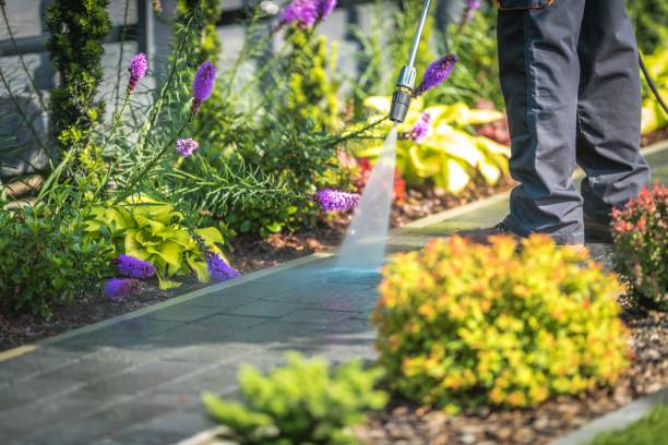 Best Pre-Holiday Cleaning  in Crugers, NY
